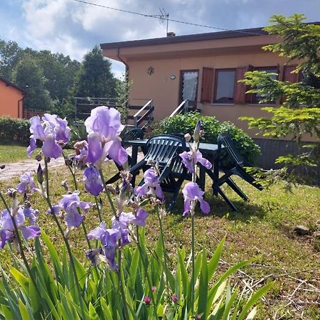 Chalet Grazia Valgiano ภายนอก รูปภาพ