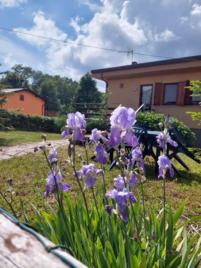 Chalet Grazia Valgiano ภายนอก รูปภาพ
