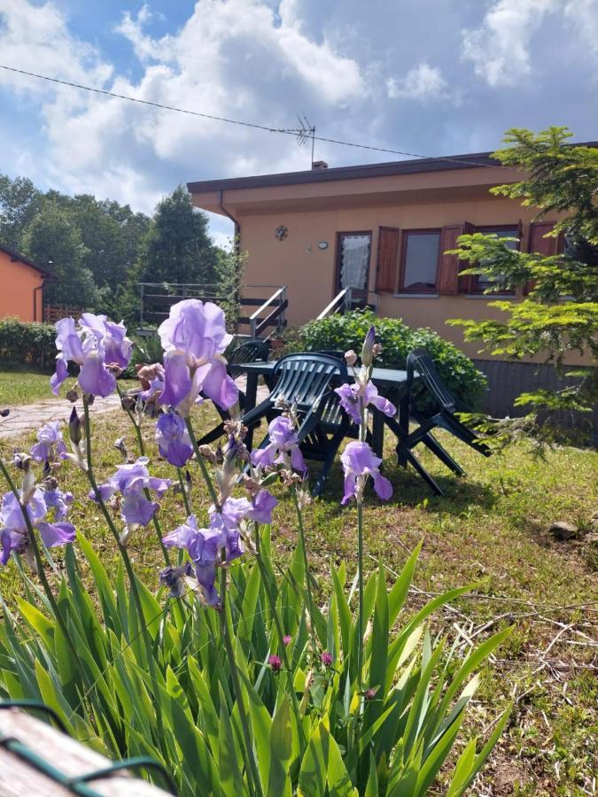 Chalet Grazia Valgiano ภายนอก รูปภาพ