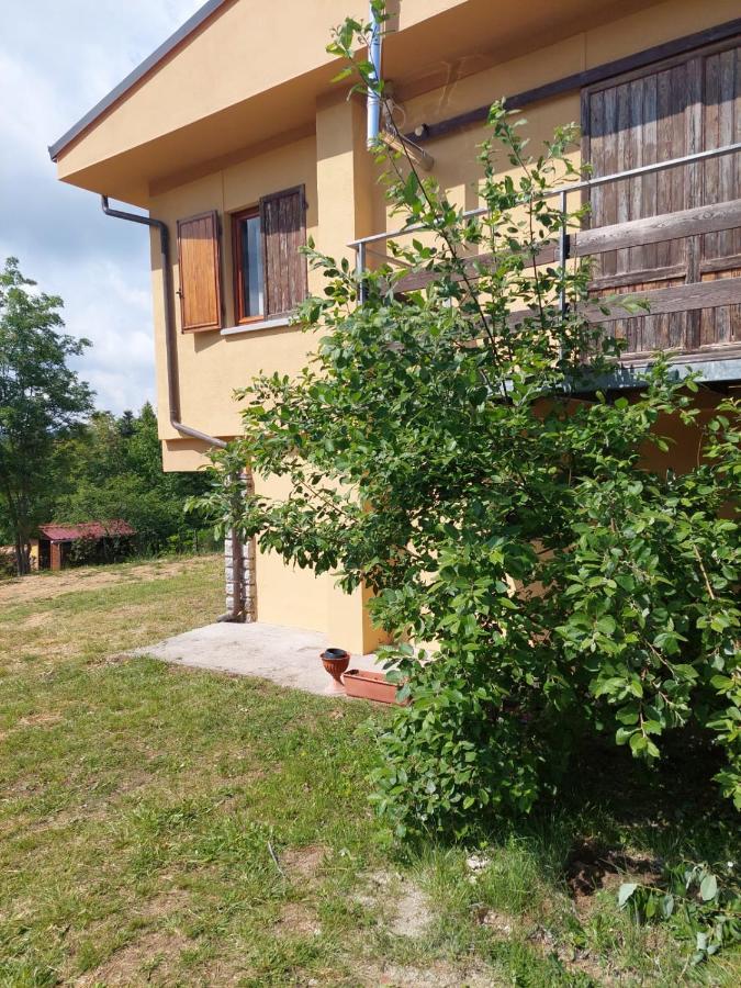 Chalet Grazia Valgiano ภายนอก รูปภาพ